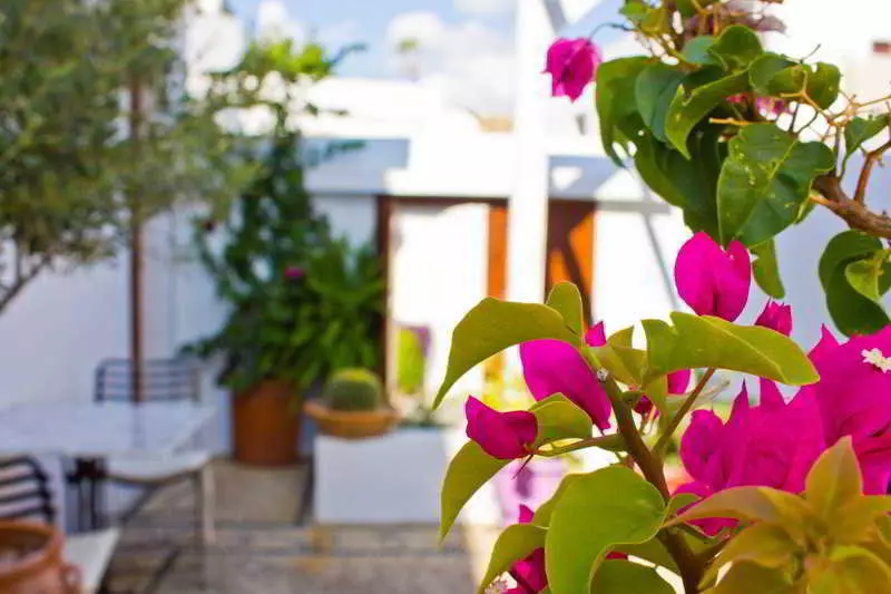 민박 Bed&Breakfast Filoxenia Cozy