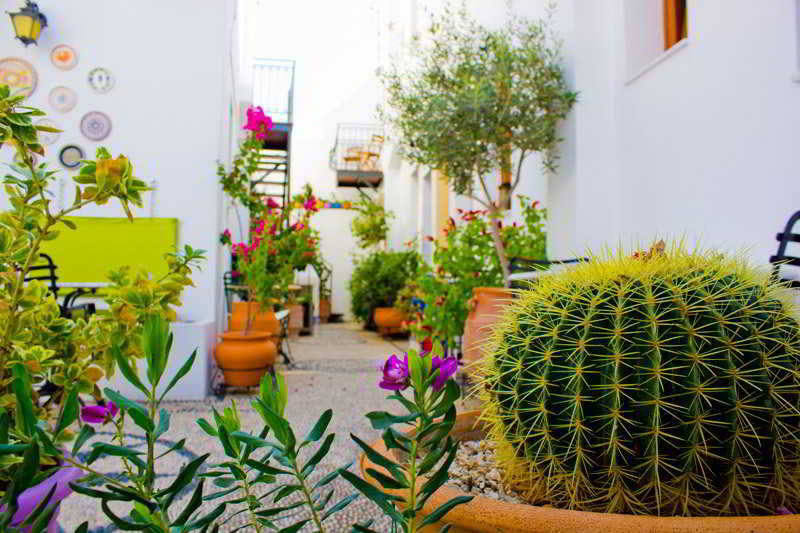 Bed and Breakfast Bed&Breakfast Filoxenia Cozy