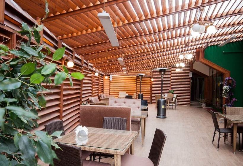 בית מלון כפרי Ekodom Sochi