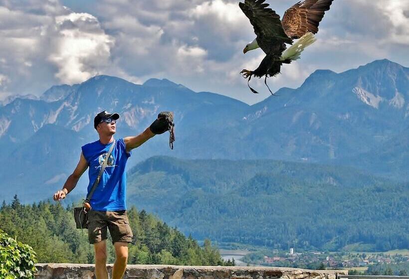 Отель Robinson Landskron