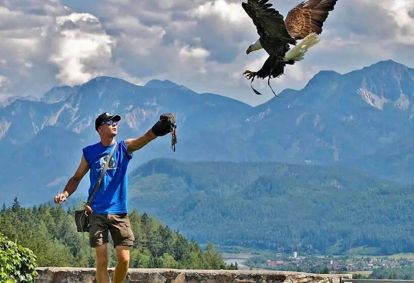 Отель Robinson Landskron