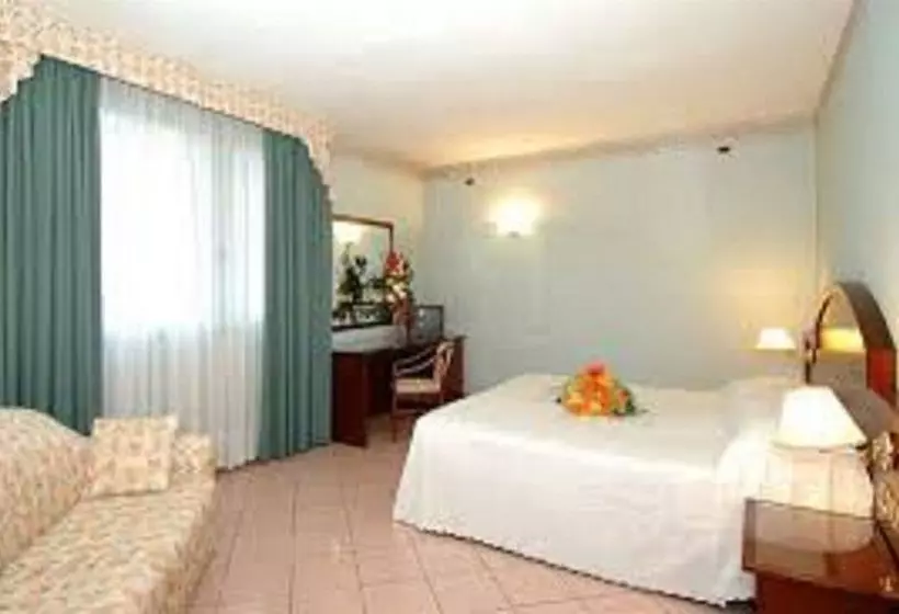 호텔 Venice Palace