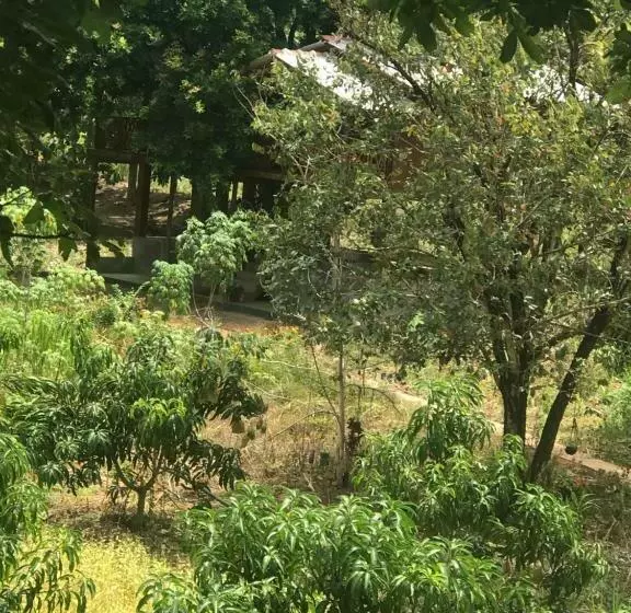 ホテル Gaga Addara Resort