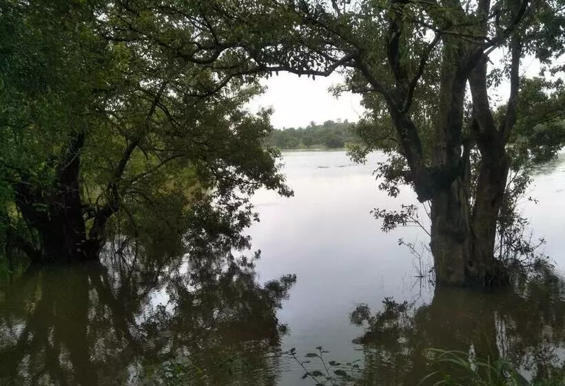 ホテル Gaga Addara Resort