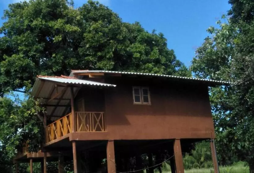 ホテル Gaga Addara Resort