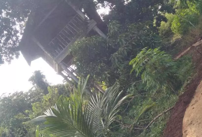 ホテル Gaga Addara Resort