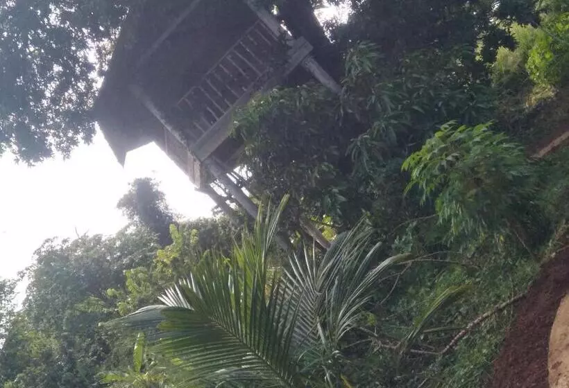 ホテル Gaga Addara Resort