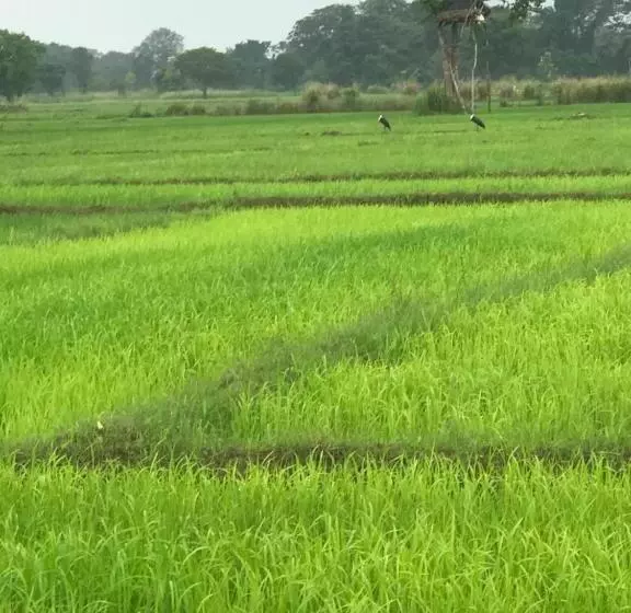 ホテル Gaga Addara Resort