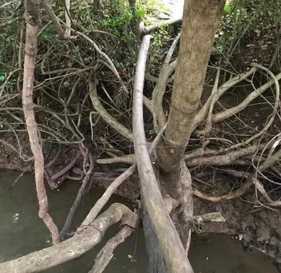 ホテル Gaga Addara Resort