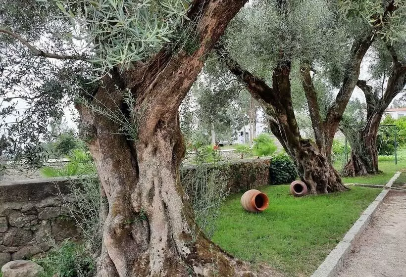 ホテル Quinta De Castelhão