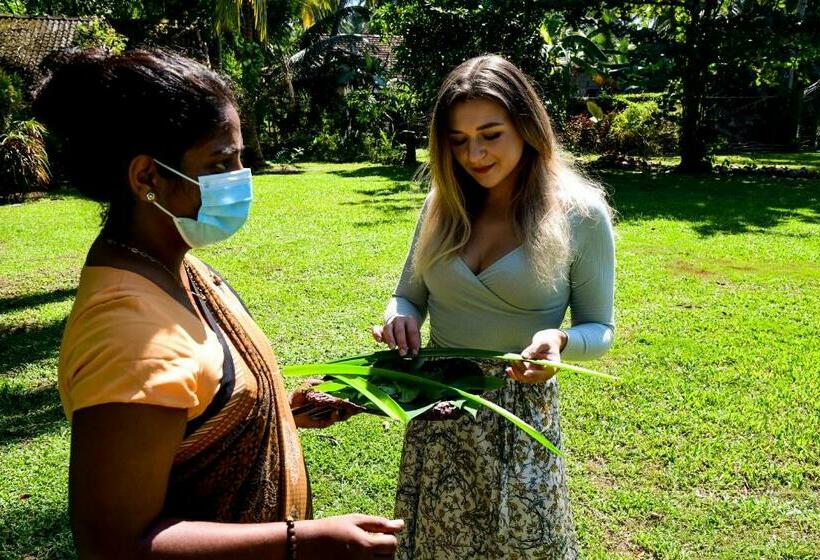 호텔 Velmarie 10 Days Beginners Ayurveda Course