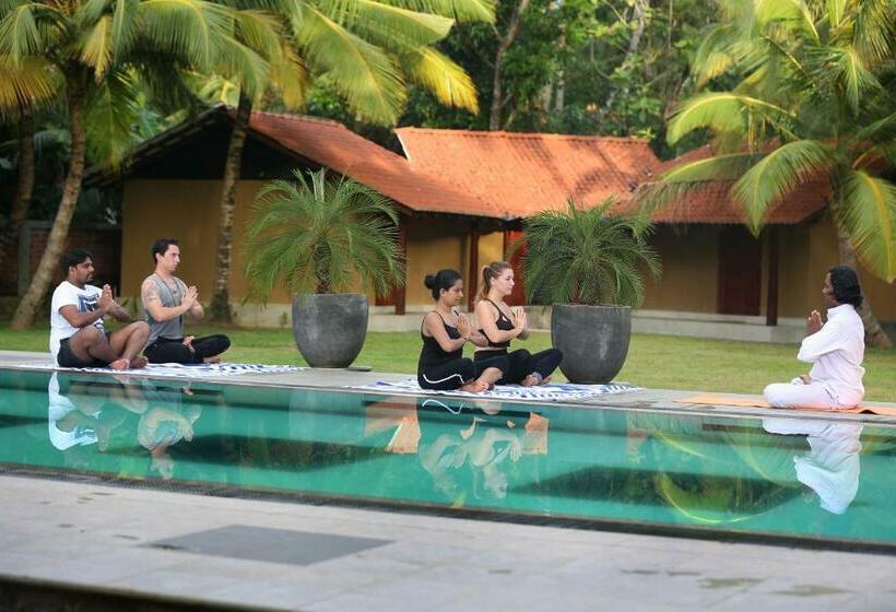 호텔 Velmarie 10 Days Beginners Ayurveda Course