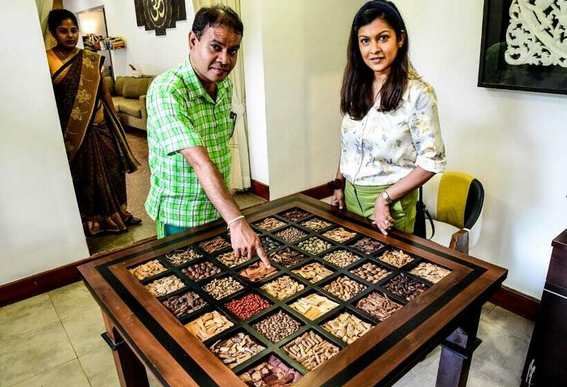 호텔 Velmarie 10 Days Beginners Ayurveda Course