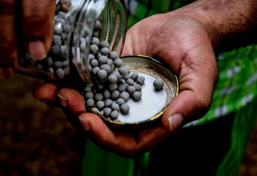 호텔 Velmarie 10 Days Beginners Ayurveda Course