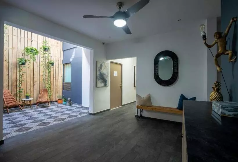 هاستل La Buena Vida Inn