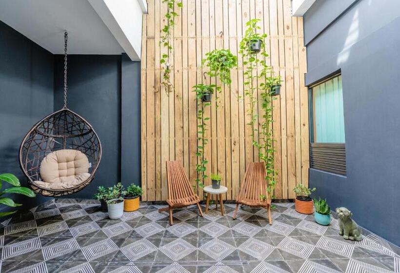 هاستل La Buena Vida Inn