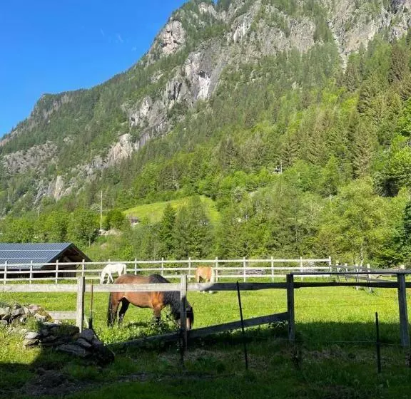 Bed And Breakfast Campo Base