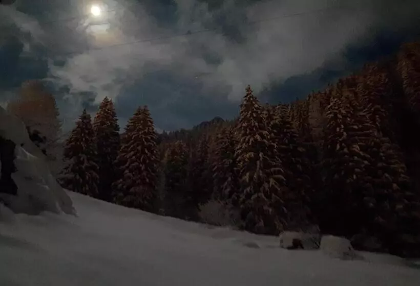 Bed And Breakfast Campo Base