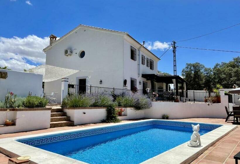 Bed and Breakfast Todos Y Tonya