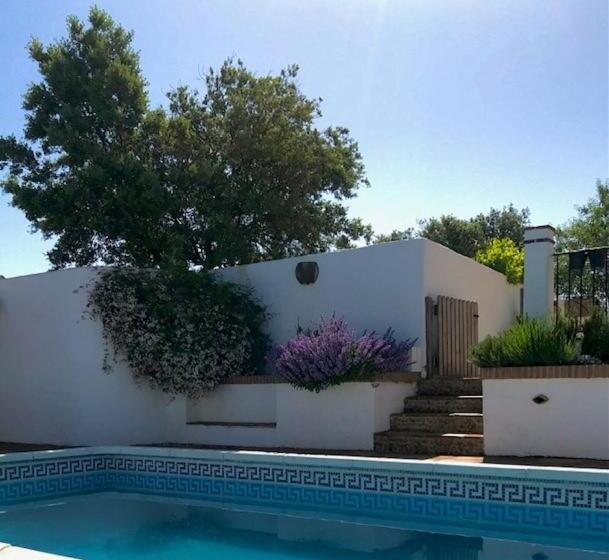 Bed and Breakfast Todos Y Tonya