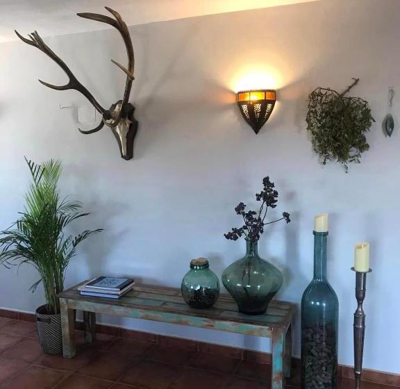 Bed and Breakfast Todos Y Tonya