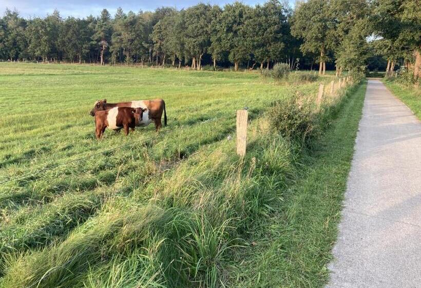 Bed And Breakfast Vechtdals Mooiste