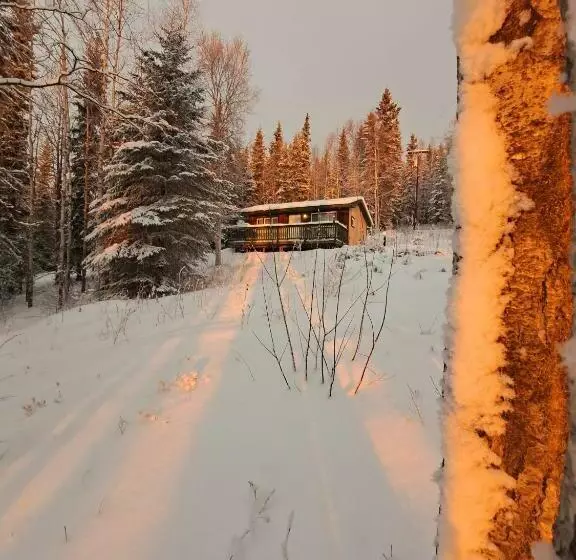 ペンション Northwoods Cottage Bed And Breakfast