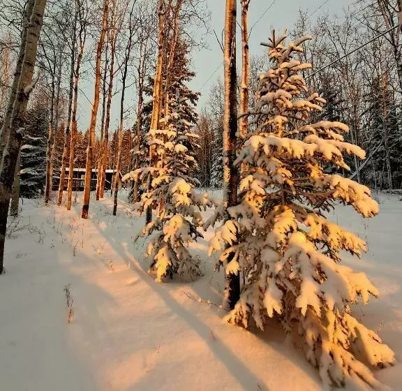 ペンション Northwoods Cottage Bed And Breakfast