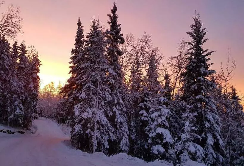 ペンション Northwoods Cottage Bed And Breakfast