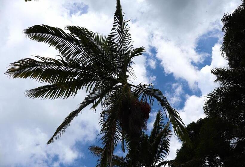 پانسیون Vista Farallones