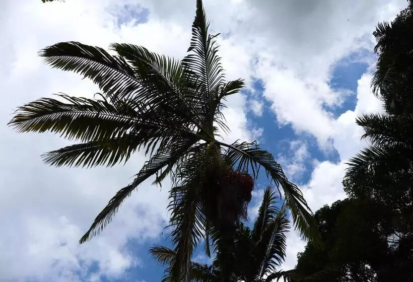 ペンション Vista Farallones