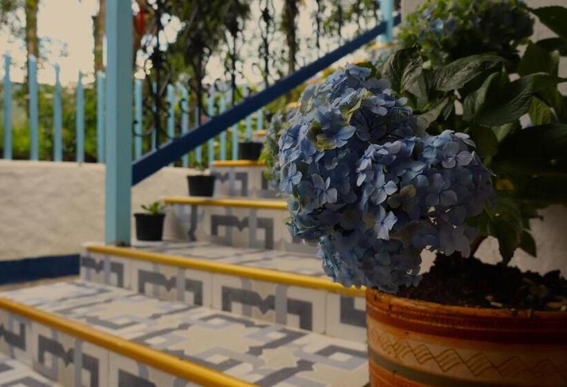 پانسیون Vista Farallones