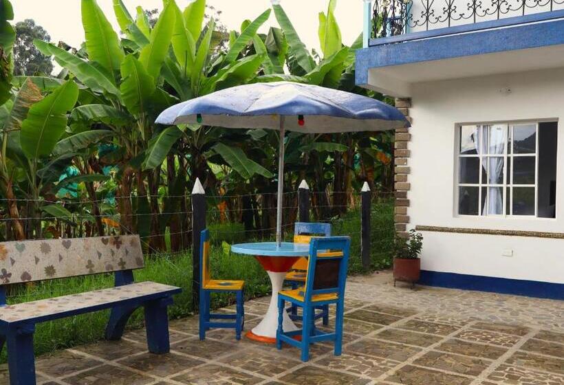 پانسیون Vista Farallones