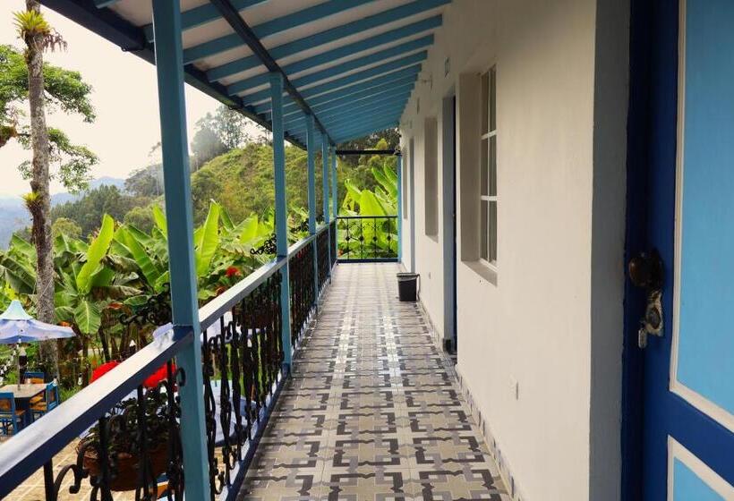 پانسیون Vista Farallones