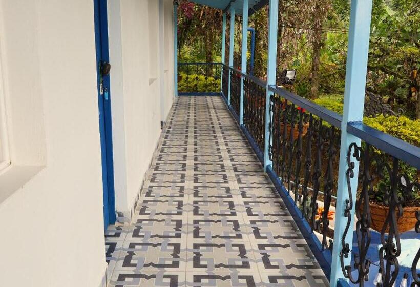 پانسیون Vista Farallones