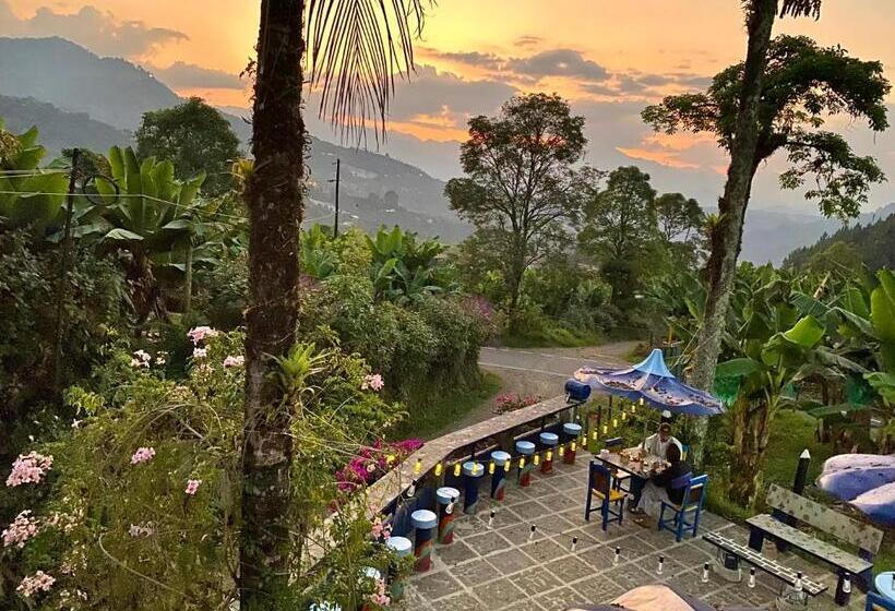 پانسیون Vista Farallones