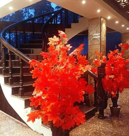 Hotelli Hyders Park  The Luxury