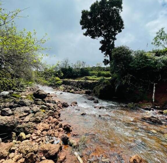 Отель Khushi Riverside Resort & Spa