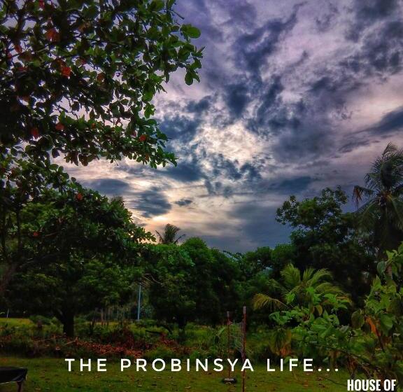 호스텔 House Of Tamse Laagans Inn