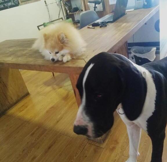 בית מלון כפרי E Pousada Oca