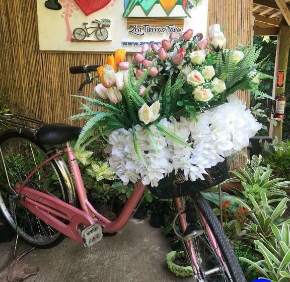 Resort Zen Tierras Farm By Cocotel