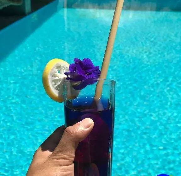 Lomakeskus Zen Tierras Farm By Cocotel