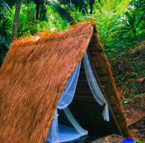 Resort Zen Tierras Farm By Cocotel