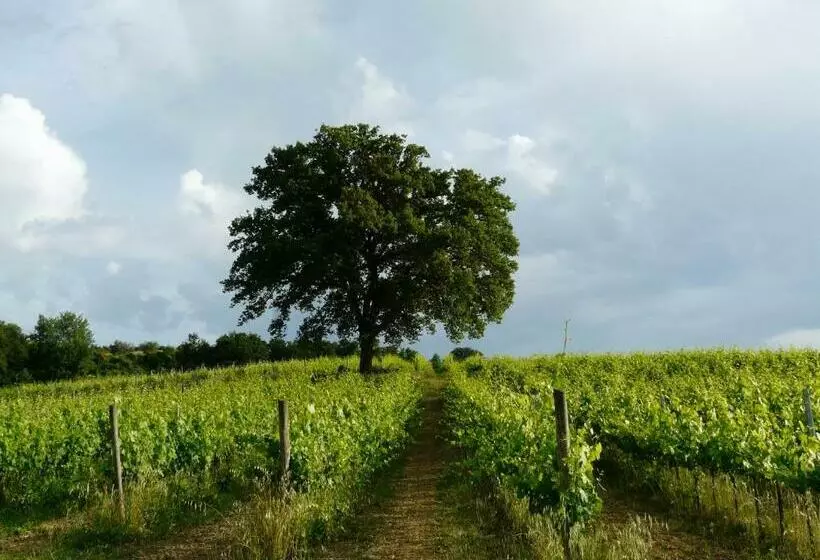 Agriturismo Tranquillo E Con Vista Panoramica