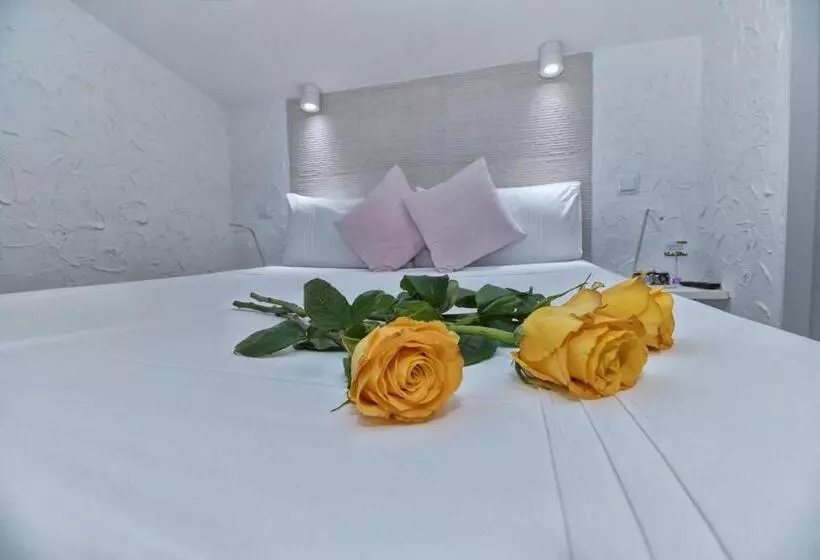 تختخواب و صبحانه T Homes   Cuenca