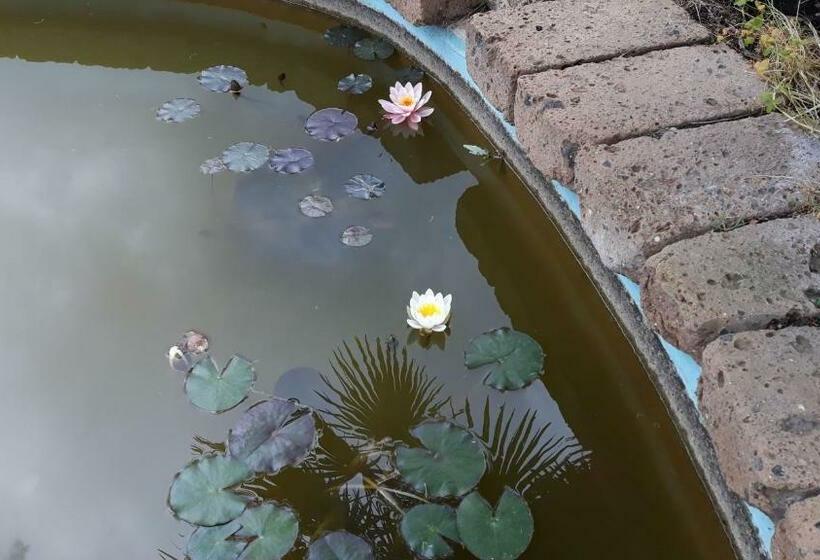 민박 Villa Delle Torri