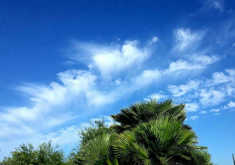 민박 Villa Delle Torri