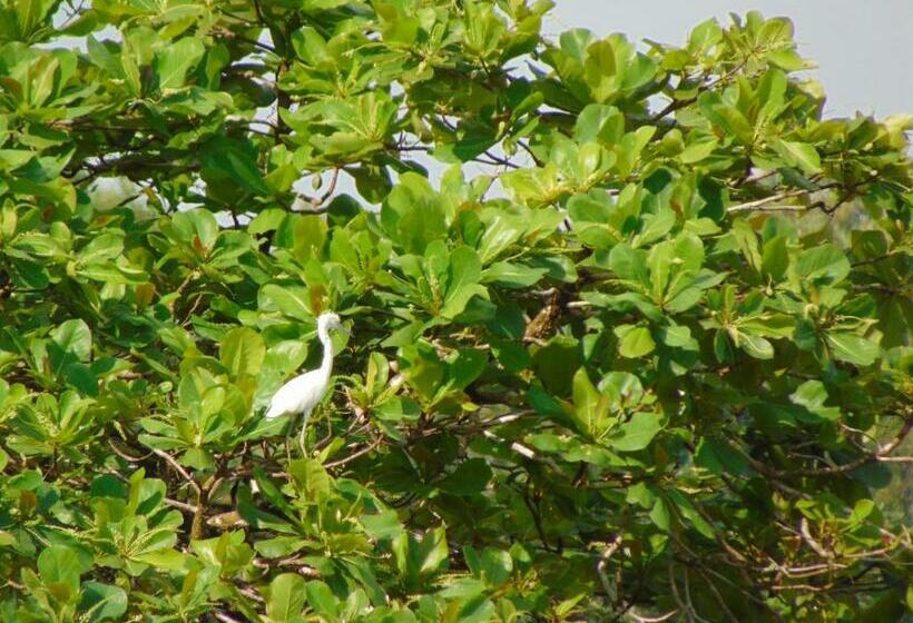 酒店 Pez Espada Tours Y Cabinas