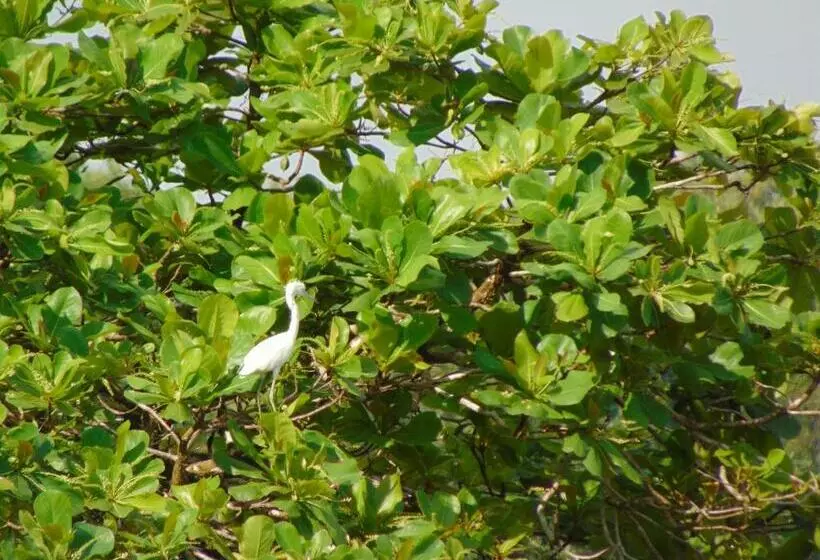 Hotelli Pez Espada Tours Y Cabinas