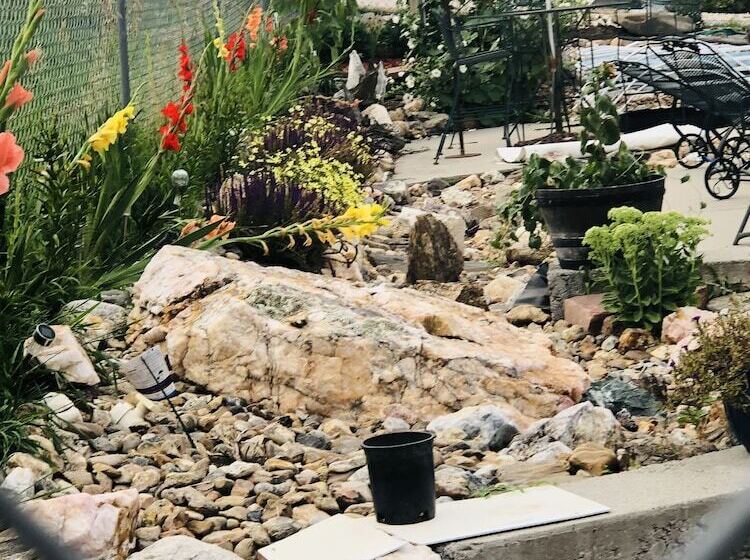 모텔 Black Hills Cabins At Quail S Crossing